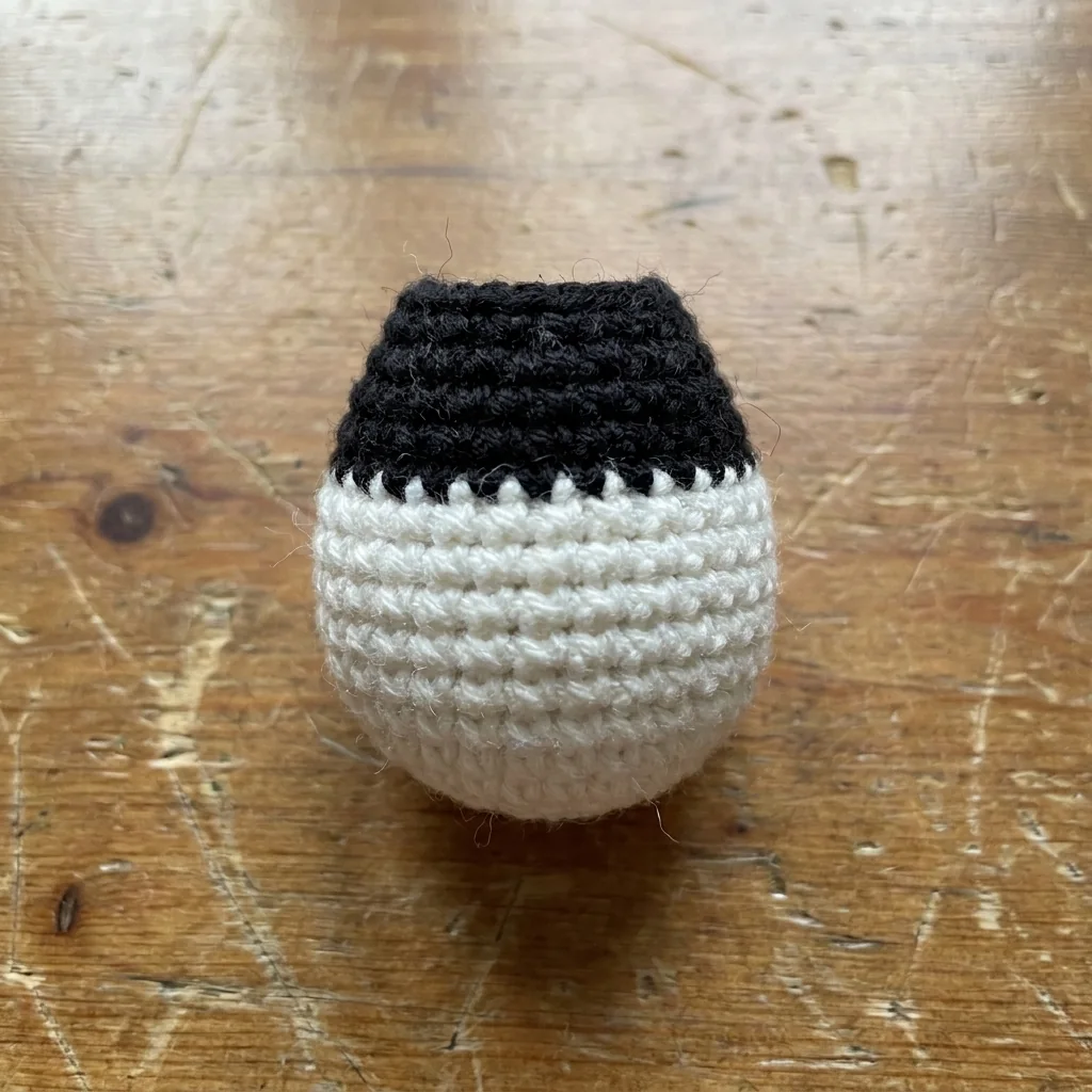 Two flat black crochet eye patches